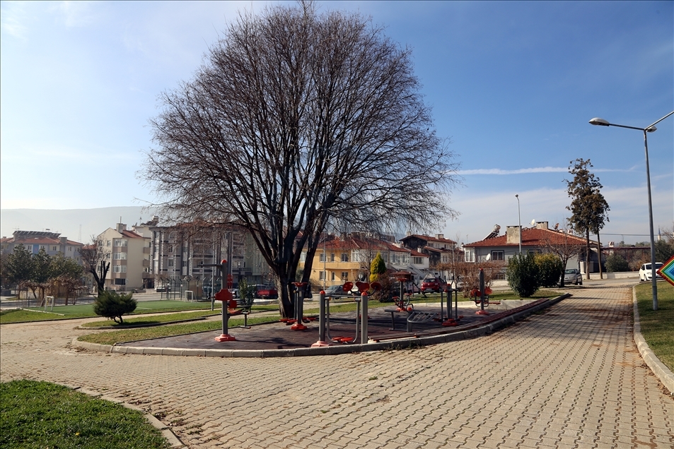 Kamusal Alanlar: Parklar, meydanlar, sokaklar, plajlar
